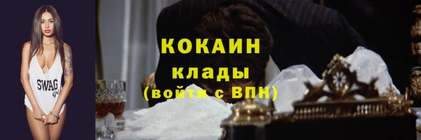 дживик Бронницы