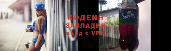 прущий лед Бородино