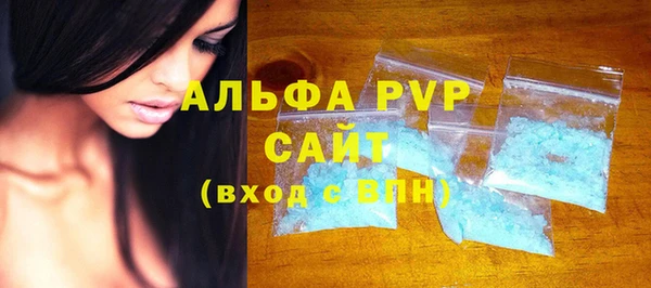 прущий лед Бородино