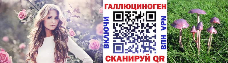 kraken ONION  сайты даркнета состав  Псилоцибиновые грибы MAGIC MUSHROOMS  Киселёвск 